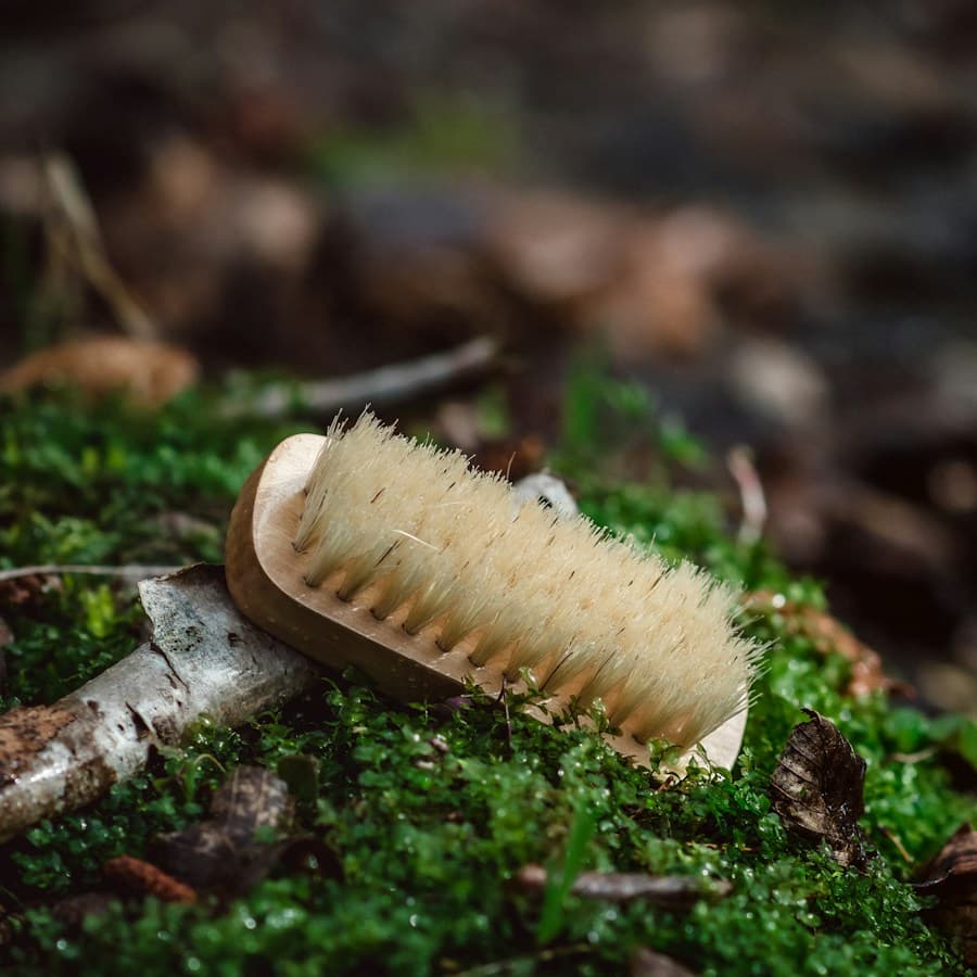 Beechwood Body Brush